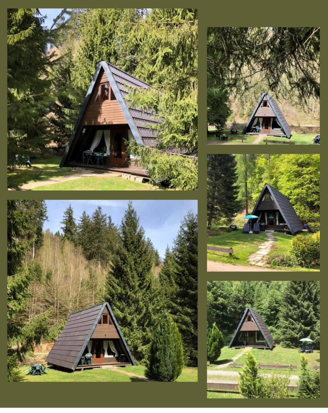 Ferienhaeuser Am Waldschloesschen Lautenthal Exterior photo