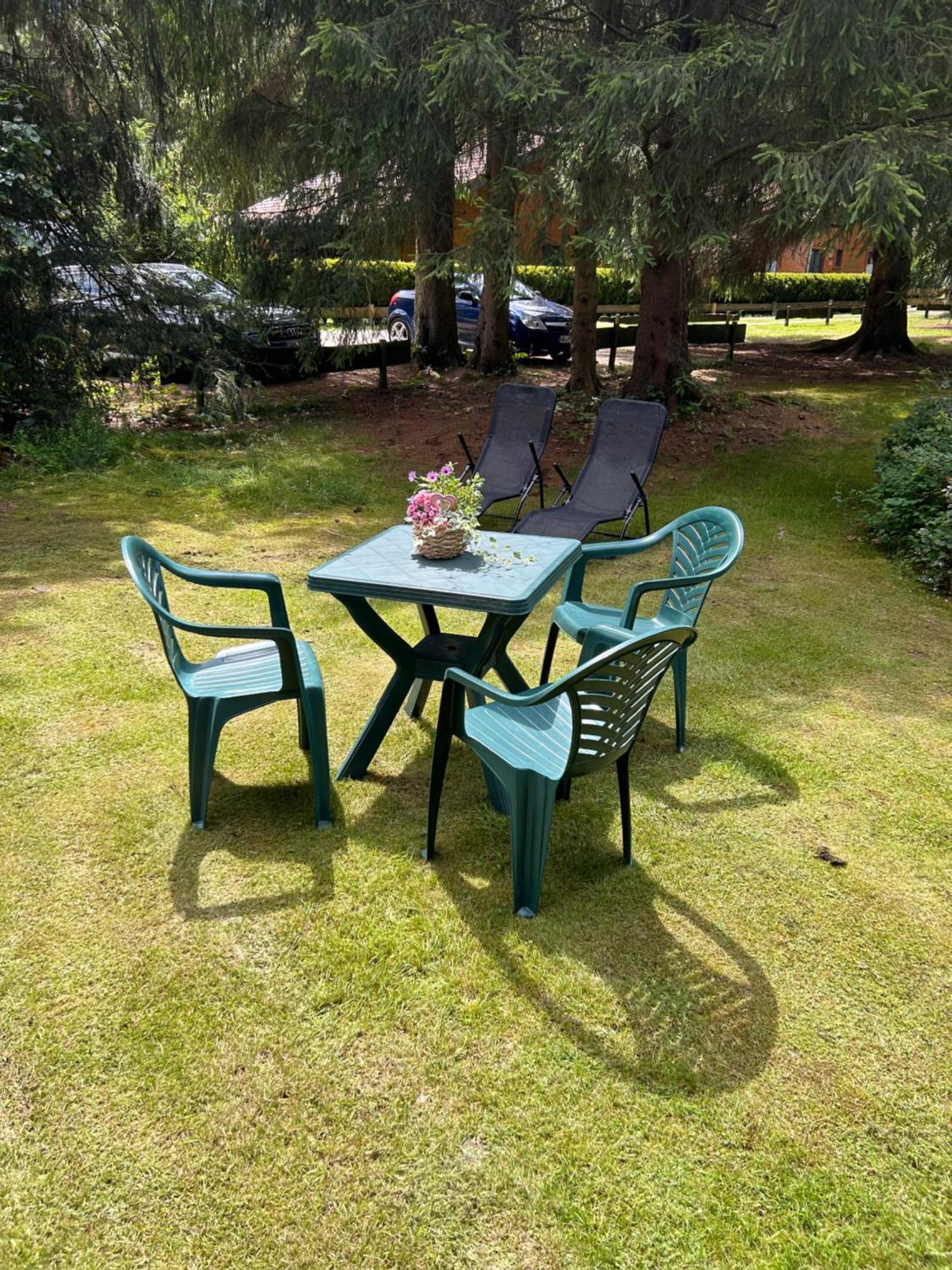 Ferienhaeuser Am Waldschloesschen Lautenthal Exterior photo