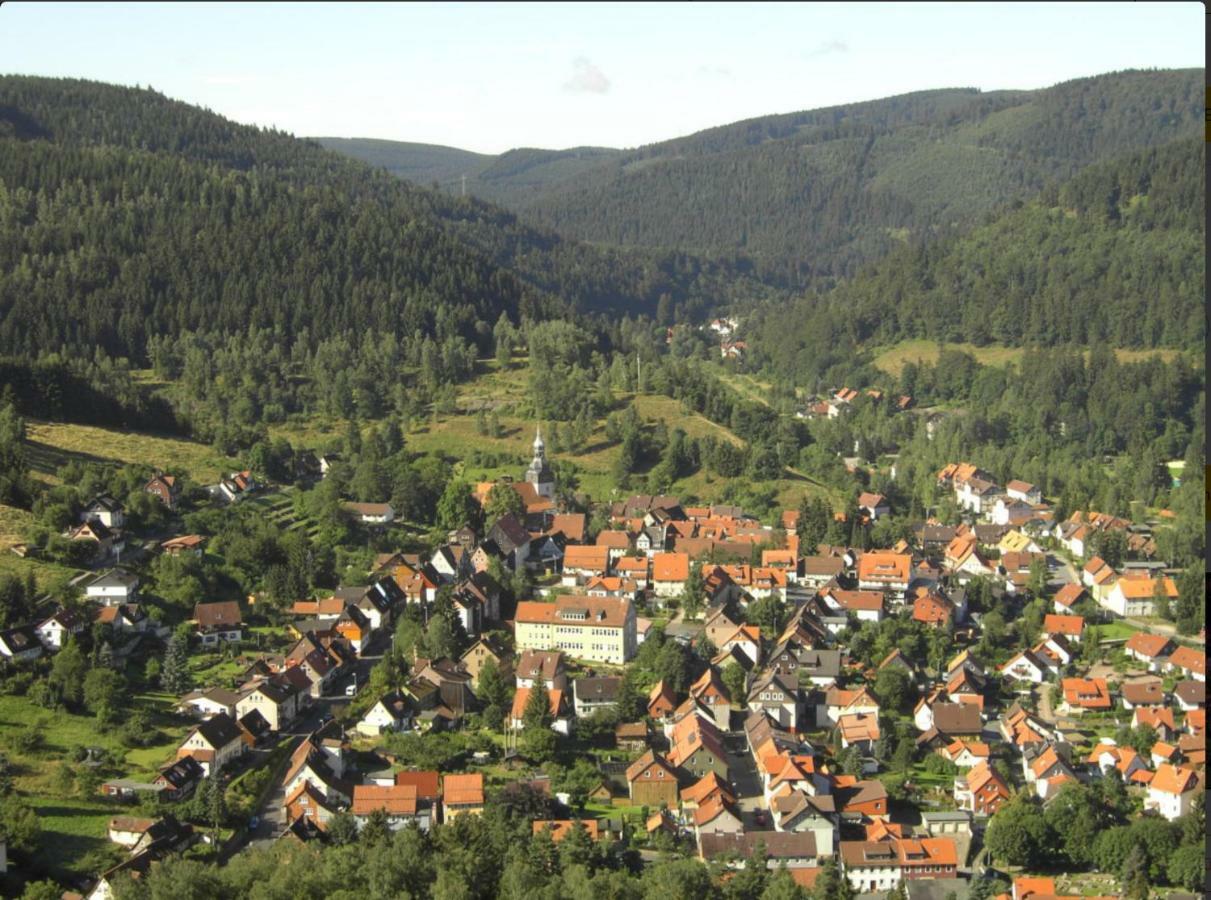Ferienhaeuser Am Waldschloesschen Lautenthal Exterior photo